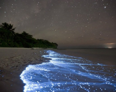 Glowing blue tide at night in Vaadhoo, Maldives