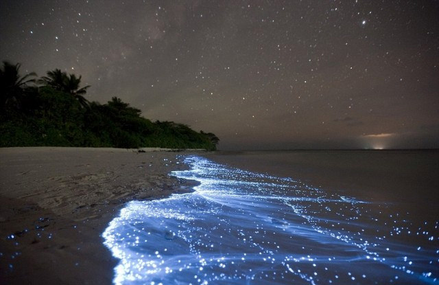 Glowing blue tide at night in Vaadhoo, Maldives