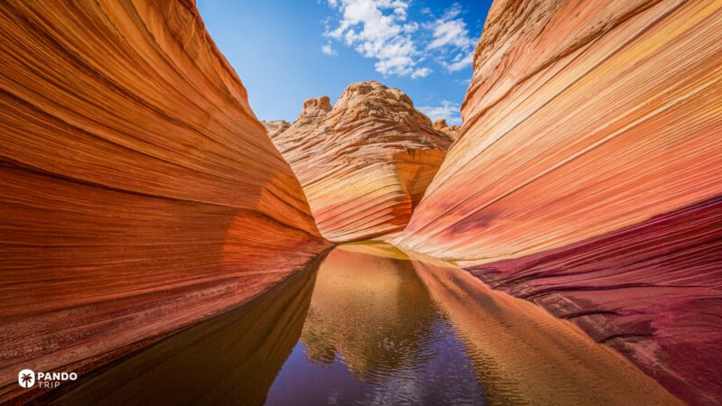 The Wave in Paria Canyon, USA - striated sandstone illustrating the beauty of the best canyons in the world.