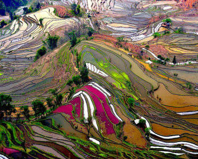 The Stunning Landscapes of Rice Field Terraces in Yunnan, China
