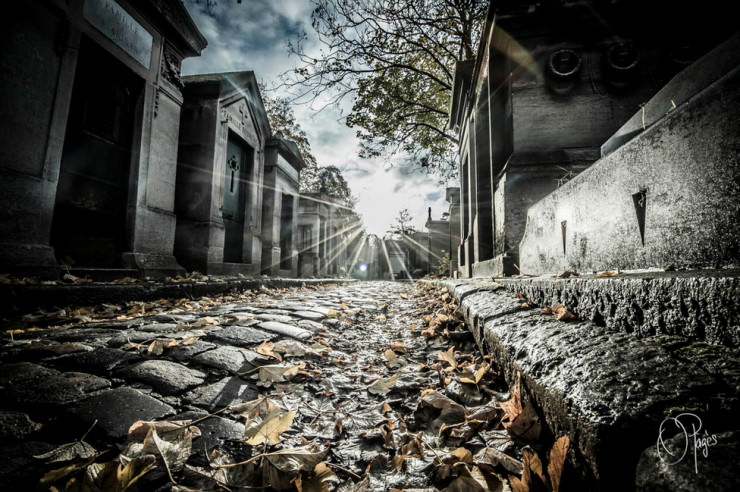 cemetery- Olivier Pagès