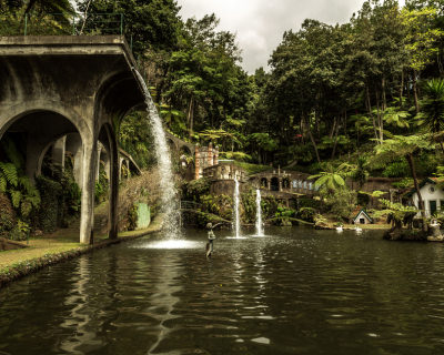 The Most Beautiful Botanical Gardens in Madeira