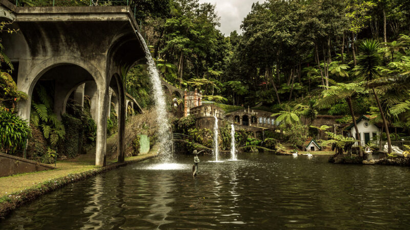 The Most Beautiful Botanical Gardens in Madeira