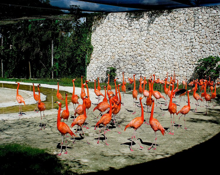 Xcaret - a Mayan Themed Water Park in Mexico