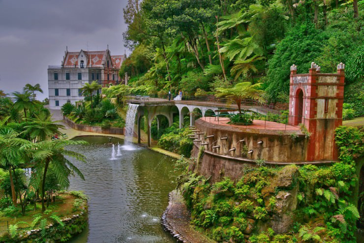 The Most Beautiful Botanical Gardens in Madeira