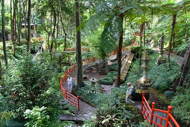 The Most Beautiful Botanical Gardens in Madeira