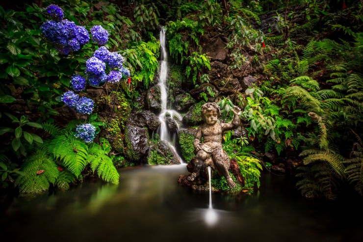 The Most Beautiful Botanical Gardens in Madeira