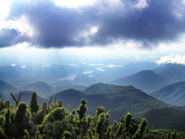 The Wild Serra Verde Express Ride in Paraná, Brazil