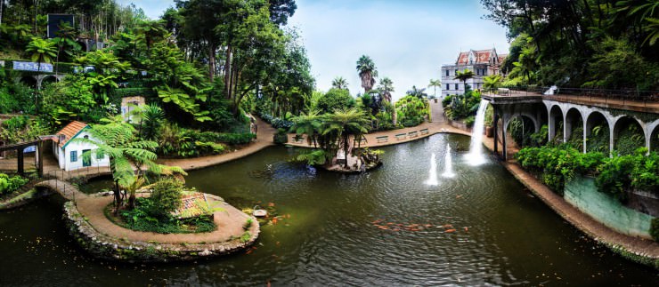 The Most Beautiful Botanical Gardens in Madeira