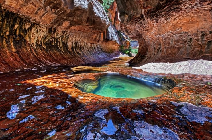 Colorful Foliage in Zion Canyon in Utah, USA