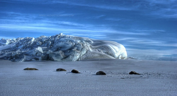 خارج از این تجربه جهانی در McMurdo صدا، قطب جنوب