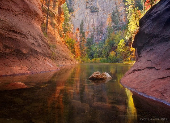 Colorful Foliage in Zion Canyon in Utah, USA