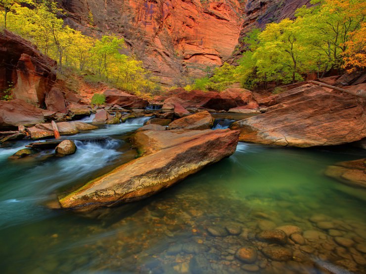 Colorful Foliage in Zion Canyon in Utah, USA