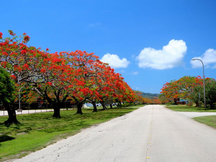 Perfect Vacation in Undiscovered Saipan, USA