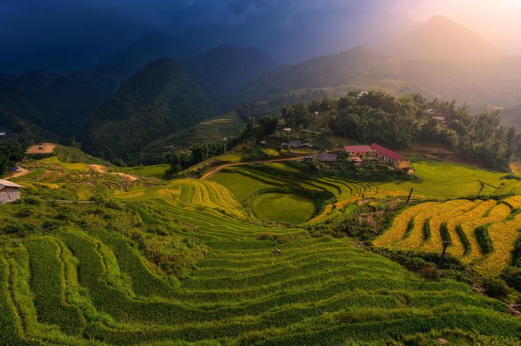 Impressive Terraced Rice Fields in Sa Pa, Vietnam