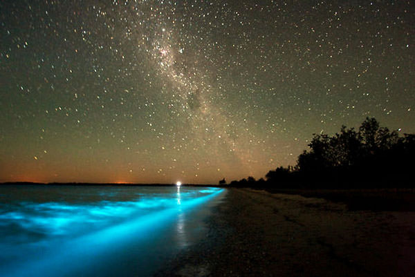 Glowing Footsteps on the Beach on Vaadhoo Island, Maldives