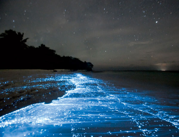 Glowing Footsteps on the Beach on Vaadhoo Island, Maldives