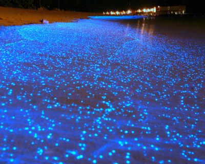 Glowing Footsteps on the Beach on Vaadhoo Island, Maldives