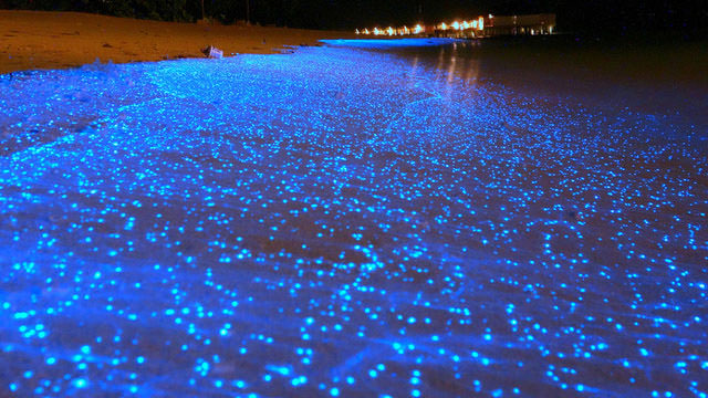 Glowing Footsteps on the Beach on Vaadhoo Island, Maldives