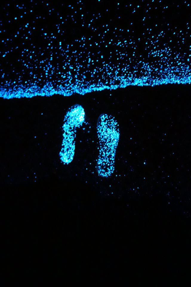 Glowing Footsteps on the Beach on Vaadhoo Island, Maldives