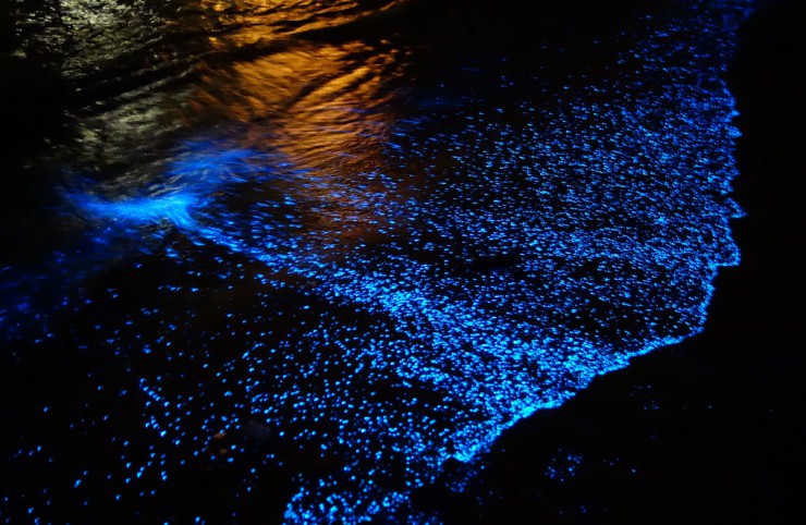 Glowing Footsteps on the Beach on Vaadhoo Island, Maldives