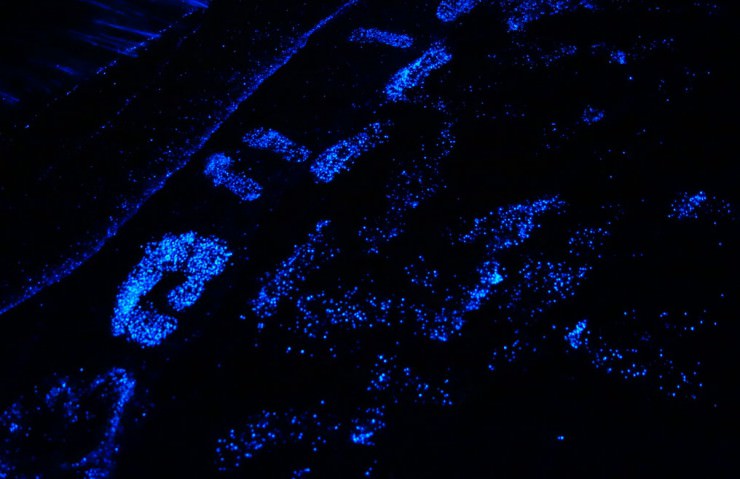 Glowing Footsteps on the Beach on Vaadhoo Island, Maldives