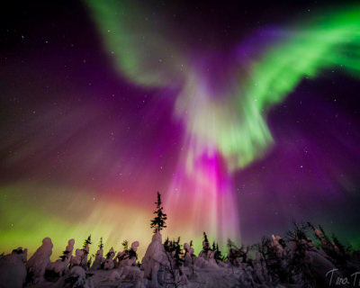 Shimmering Aurora in Enigmatic Lapland, Finland