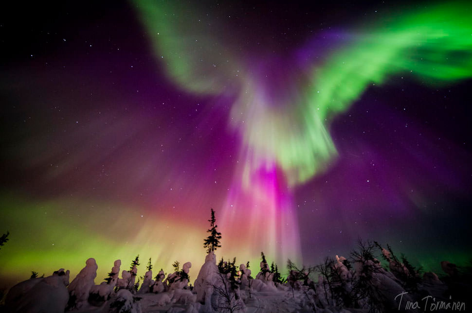 Shimmering Aurora in Enigmatic Lapland, Finland
