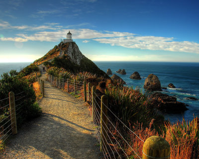 Nugget Point – the Iconic Site in Otago, New Zealand