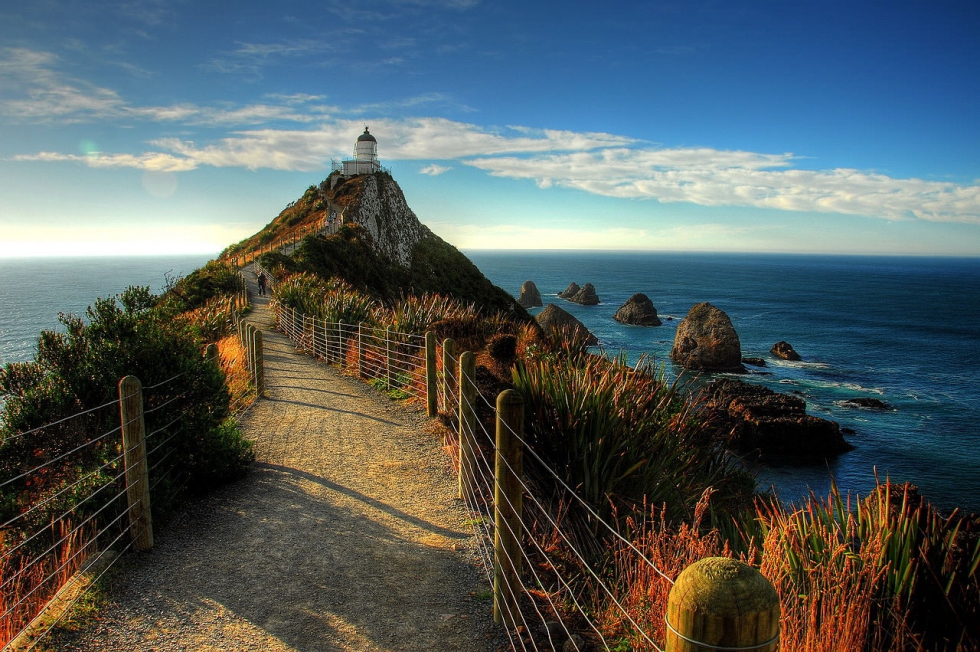 Nugget Point – the Iconic Site in Otago, New Zealand