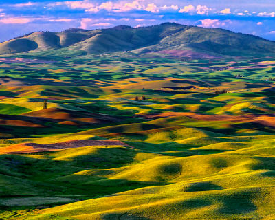 Picturesque Ancient Dunes in Palouse Region, USA