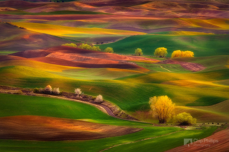 Palouse-Photo by Chip Phillips