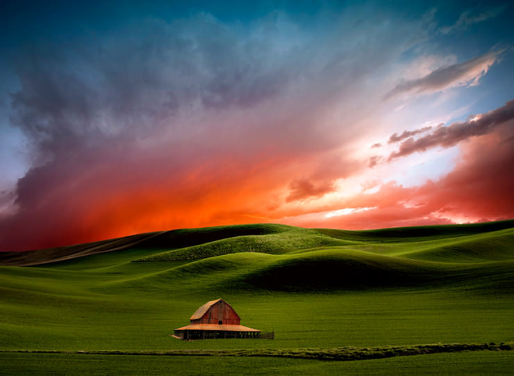 Palouse-Photo by Lisa Wood