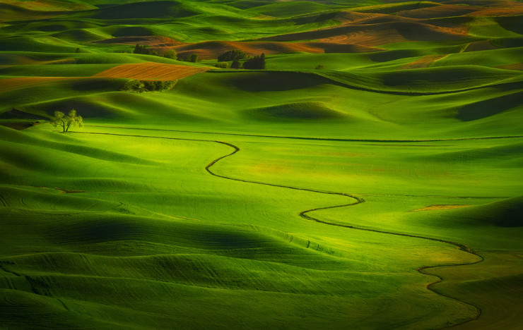 Palouse-Photo by Miles Morgan