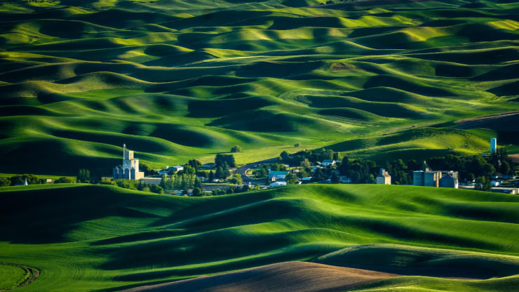 Palouse-Photo by Miles Smith