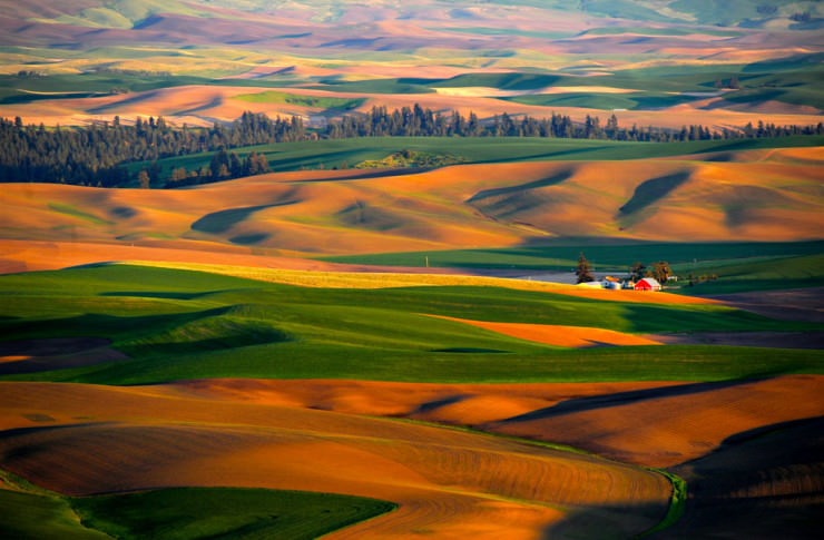 Palouse-Photo by RJAphotography