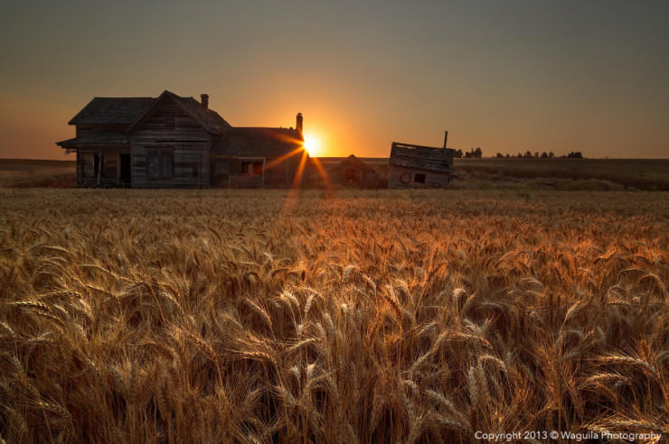 Palouse-Photo by Salim waguila