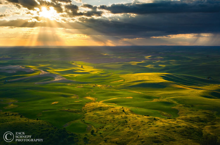 Palouse-Photo by Zack Schnepf