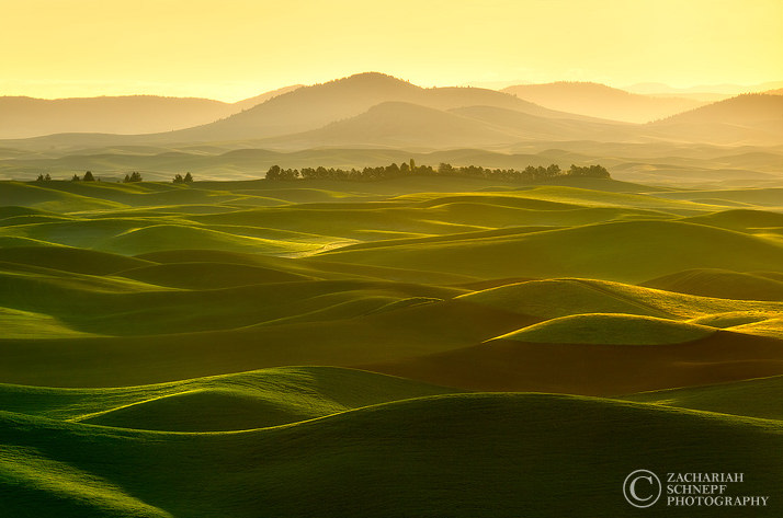 Palouse-Photo by Zack Schnepf2