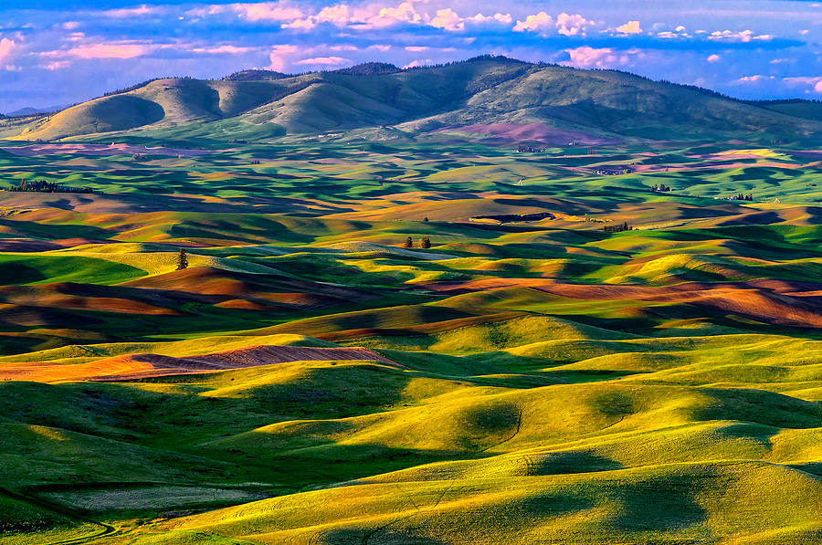 Picturesque Ancient Dunes in Palouse Region, USA