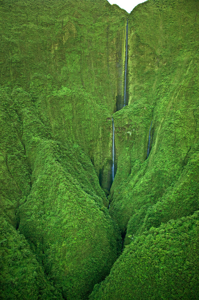 Top Things to See and Do in Hawaii-Honokohau-Photo by Royce Bair