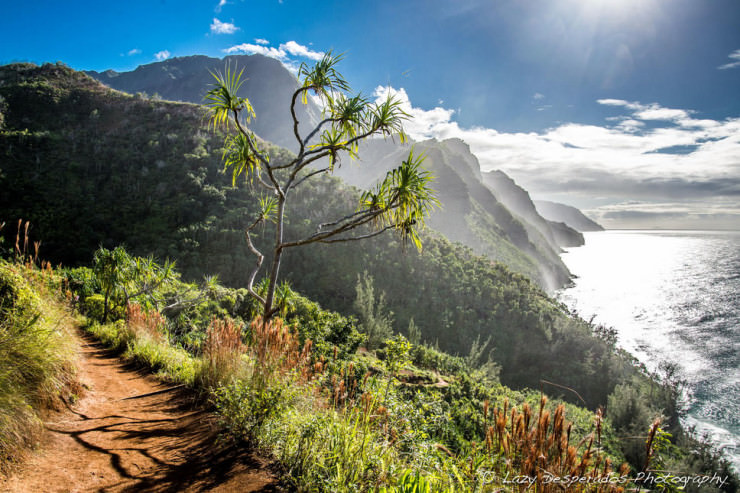 Top Things to See and Do in Hawaii-Kauai-Photo by Lazy Desperados