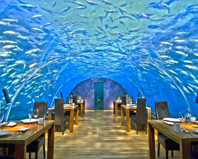 Ithaa – One and Only Underwater Restaurant in Maldives