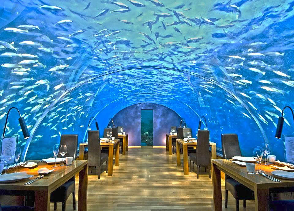 Ithaa – One and Only Underwater Restaurant in Maldives