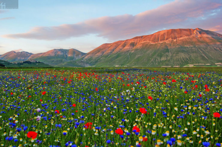 Top 10 Paragliding Sites-Castelluccio-Photo by Francesco Riccardo Iacomino