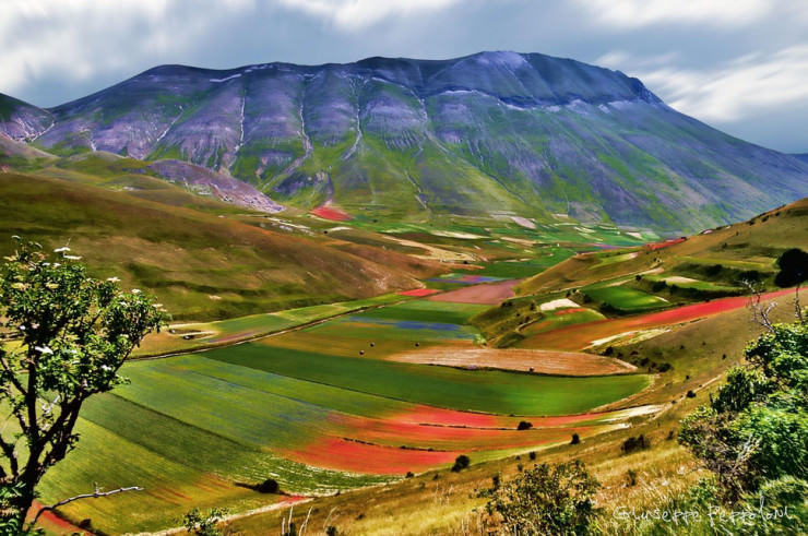 Top 10 Paragliding Sites-Castelluccio-Photo by Giuseppe Peppoloni