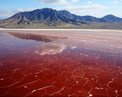 Dangerously Saline Red Lake Natron in Tanzania