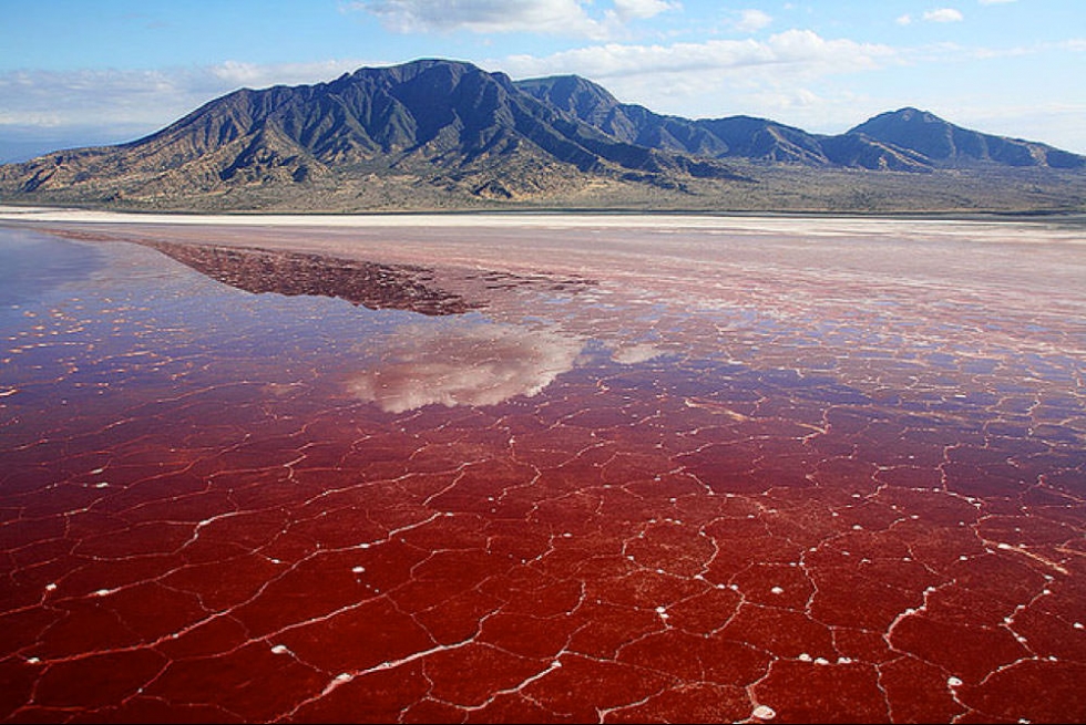 Dangerously Saline Red Lake Natron in Tanzania