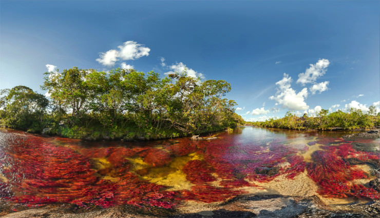 رودخانه پنج رنگ در کلمبیا