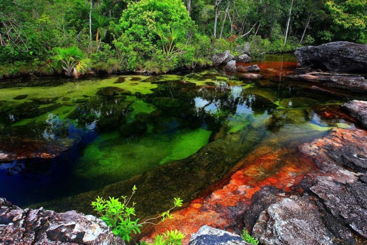 Caño Cristales